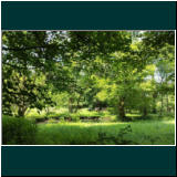 WhatsApp Image 2024-06-11 at 09.47.42.jpg